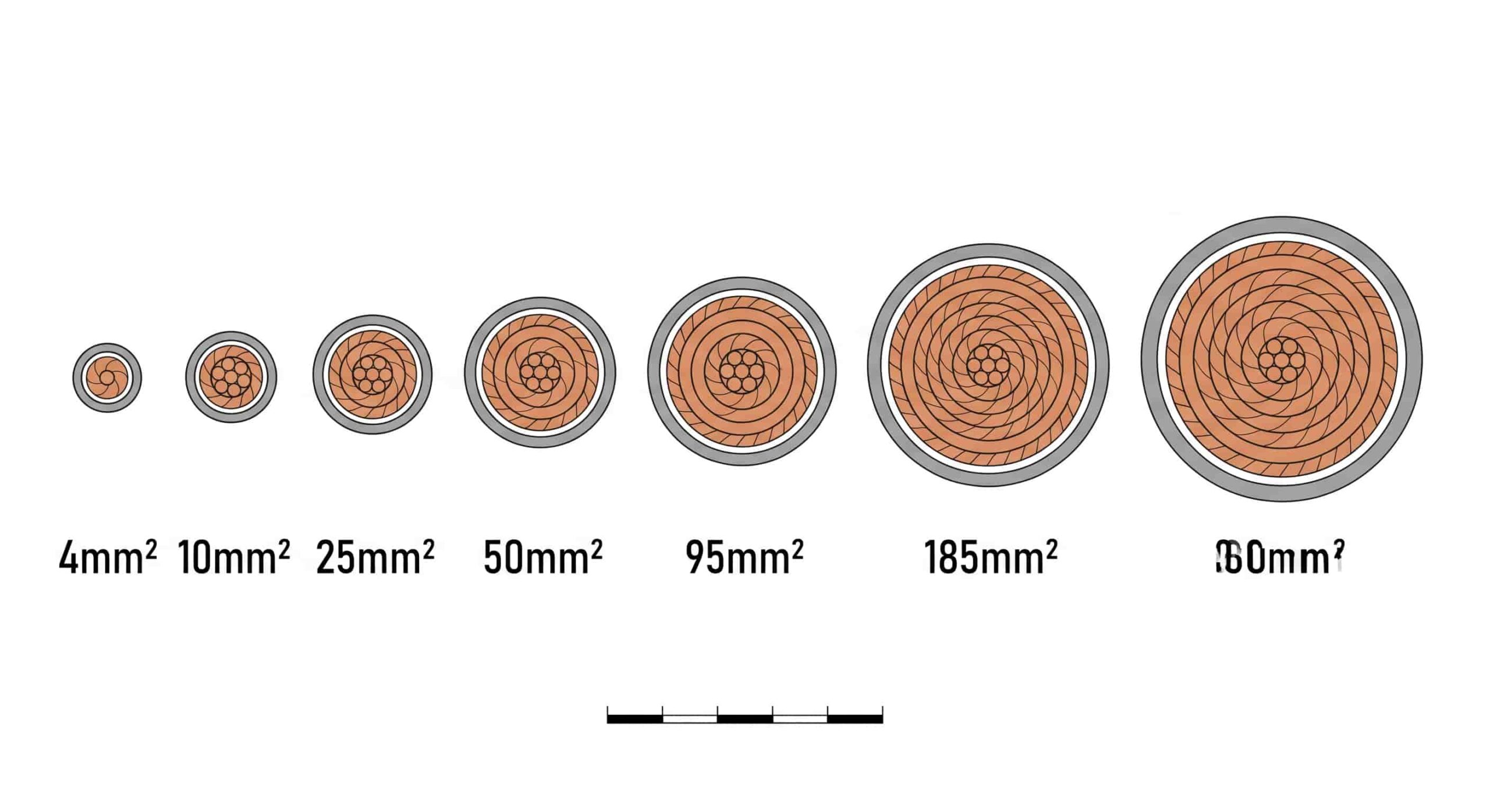 Visual size comparison of common cable conductor cross-sections from 4mm² to 300mm² for B2B procurement reference