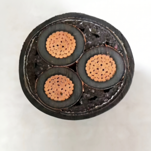 Cross section of a multi-core power cable showing stranded copper conductors and insulation layers for industrial power distribution